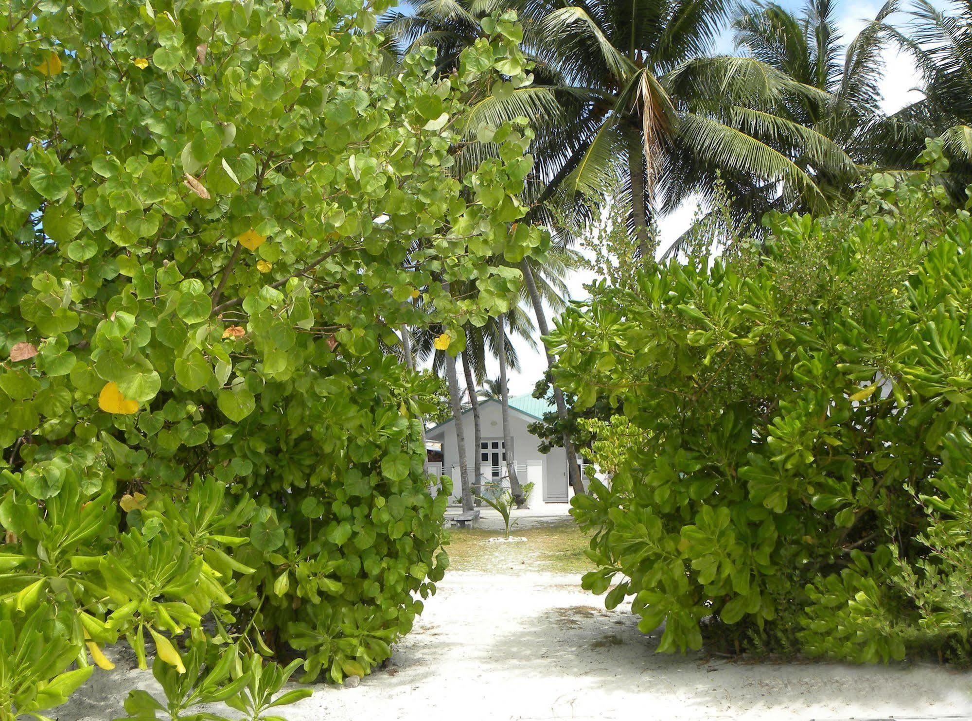 Vaali Maldives Island Escapes & Dive Hotel Felidhoo Exterior foto
